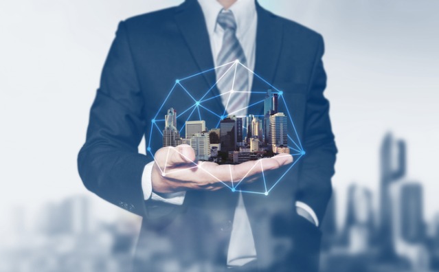 holding patrimonial executivo